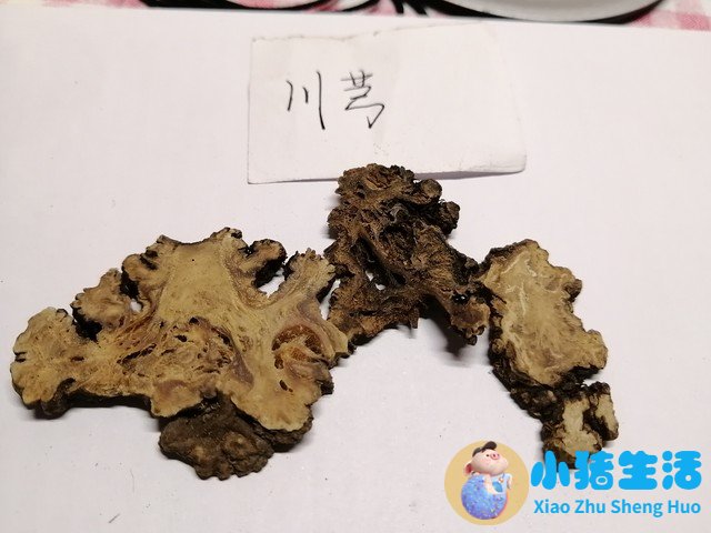 治疗腰间盘突出最好的药