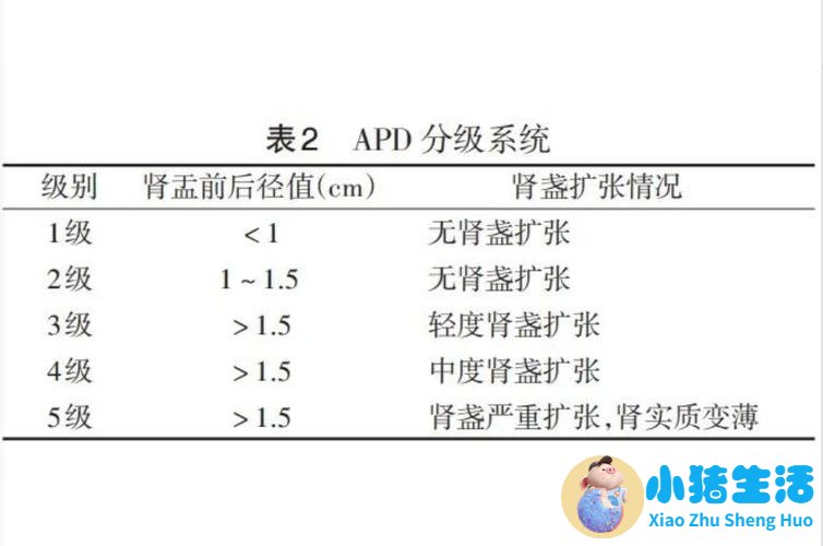 <strong>科普｜胎儿肾积水，孩子是“留”还是“</strong>