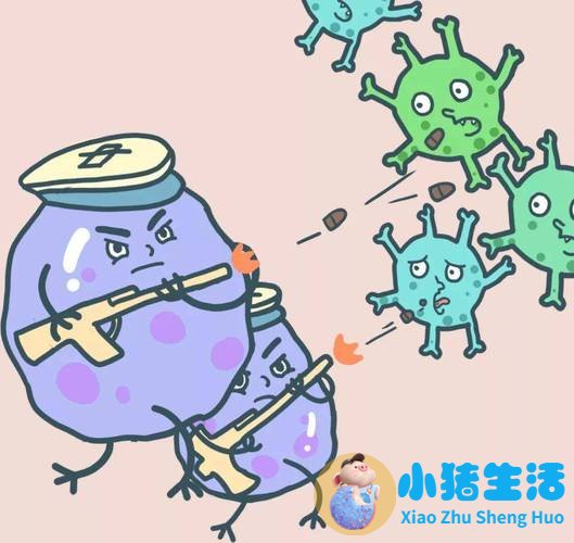 【健康科普】这种细菌，5岁以下儿童重点