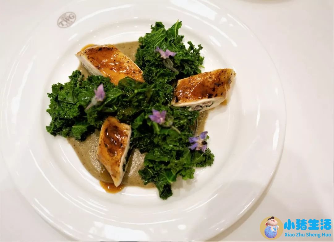玄米茶怎么样配合饮食减肥