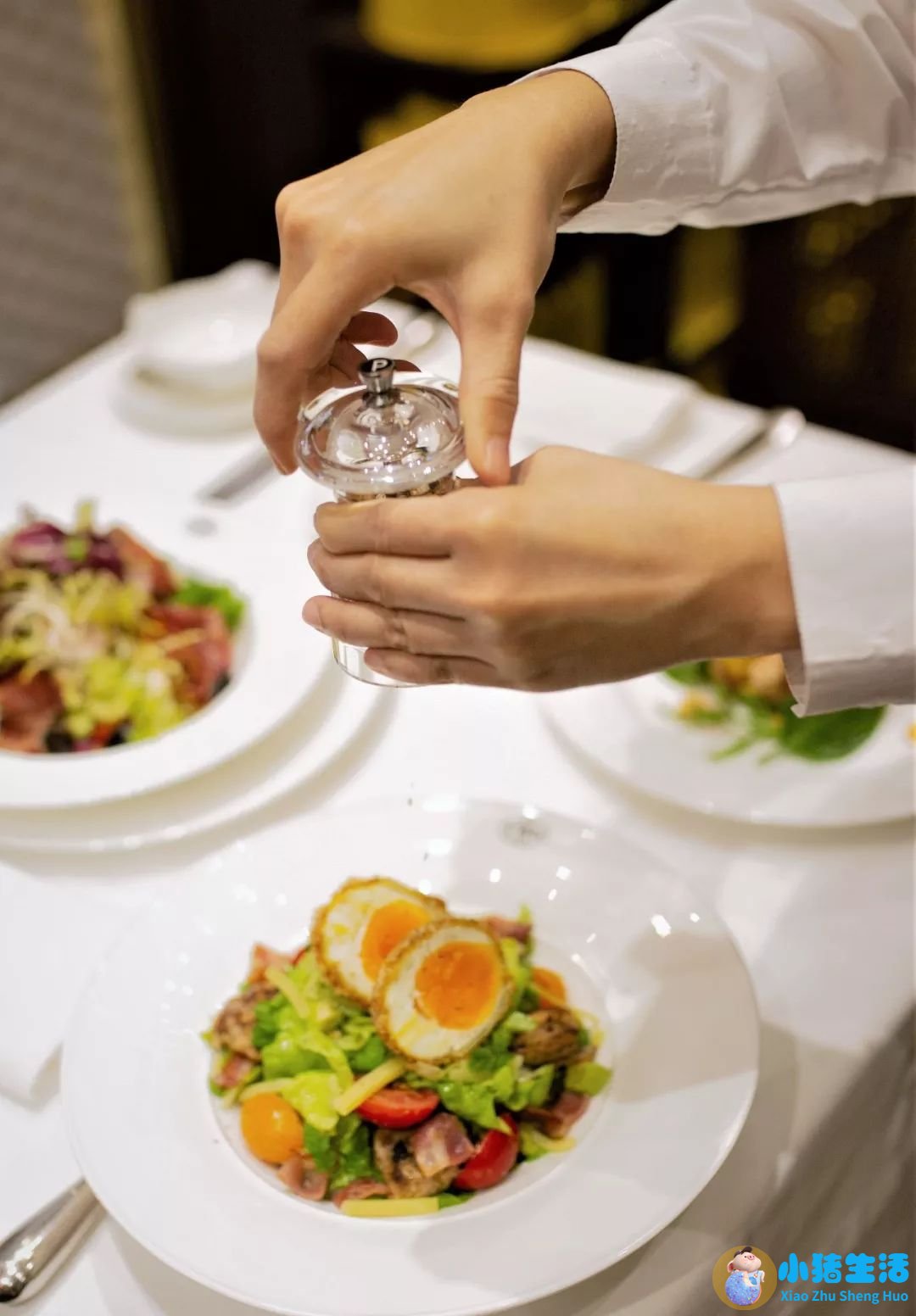 玄米茶怎么样配合饮食减肥
