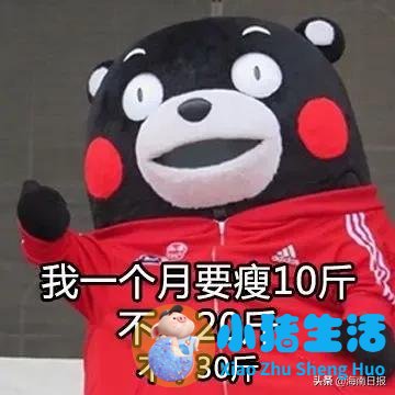 玄米茶怎么样配合饮食减肥