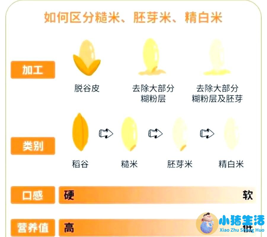 玄米茶怎么样配合饮食减肥