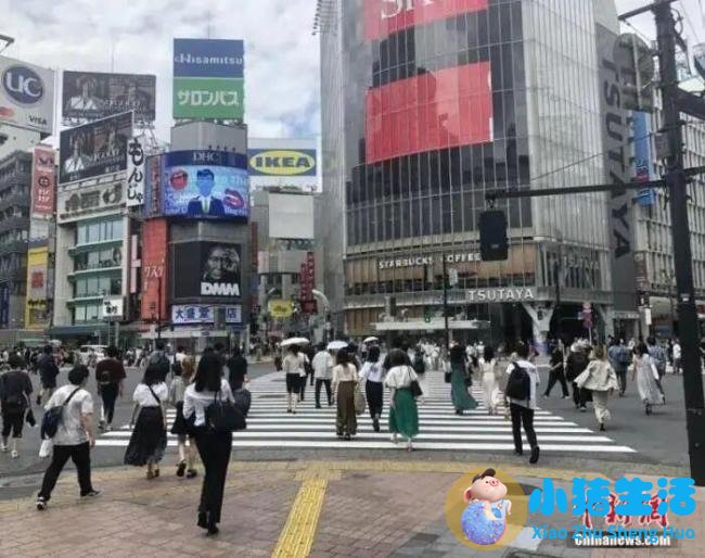 高市政府疯狂砸钱 窟窿越补越大 财政压力剧增