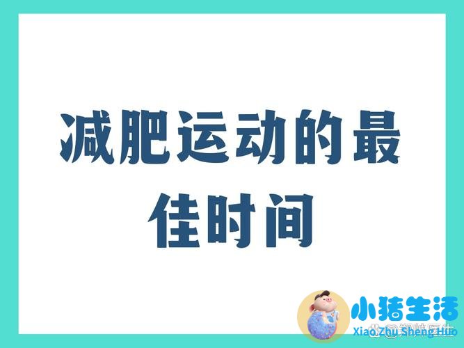 晚上做什么运动减肥最快
