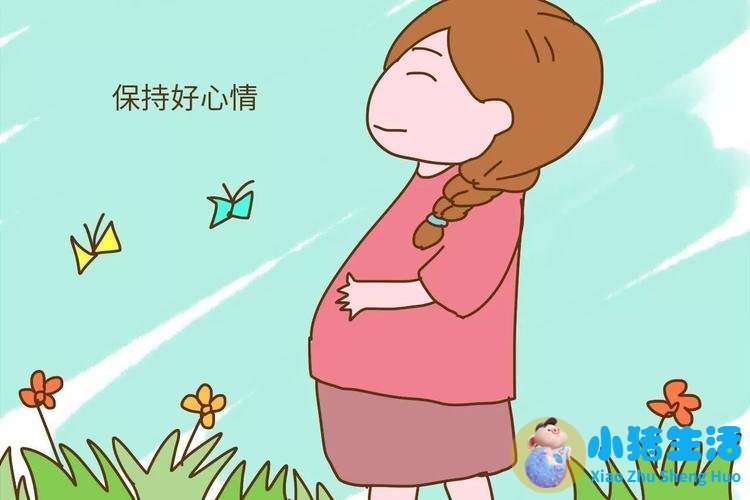 <strong>孕晚期左枕后位怎么睡觉</strong>