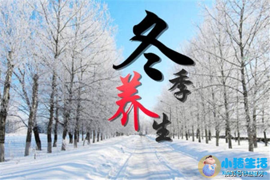 冬季养生知识