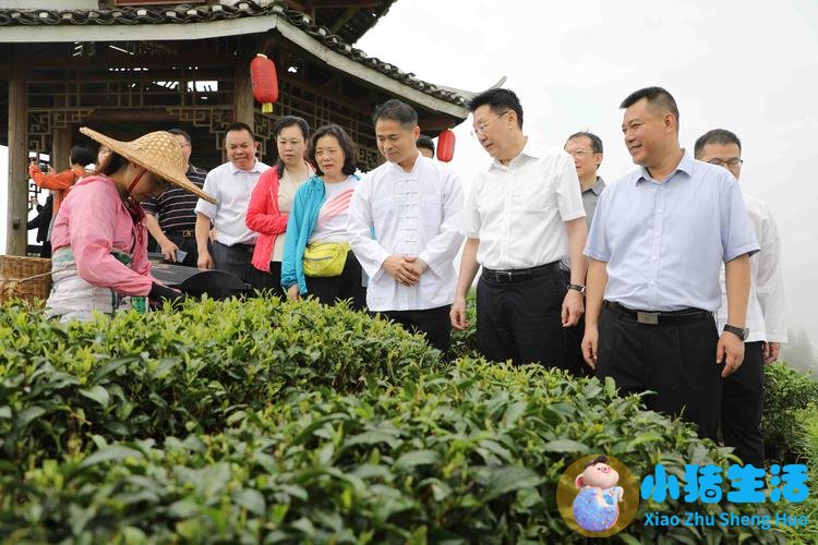 海亮健康食品集团有限公司招聘
