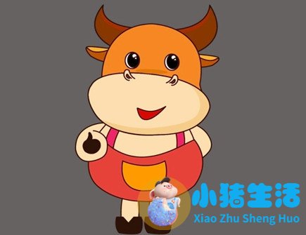 <strong>怎么追求属牛的女生</strong>