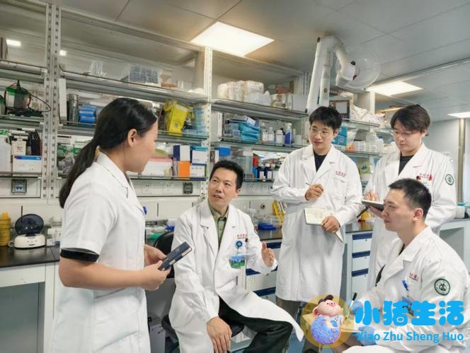 重庆医学团队发表最新研究成果