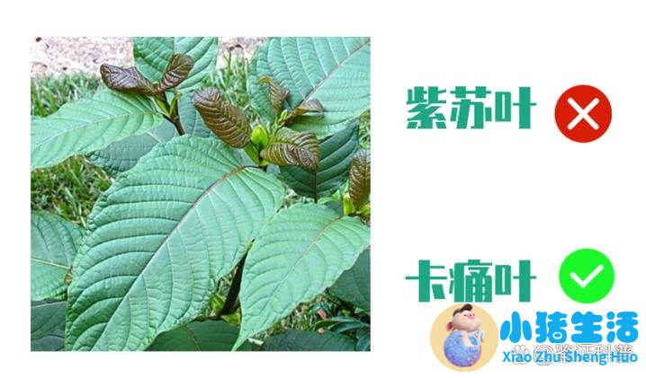 最新医学新闻