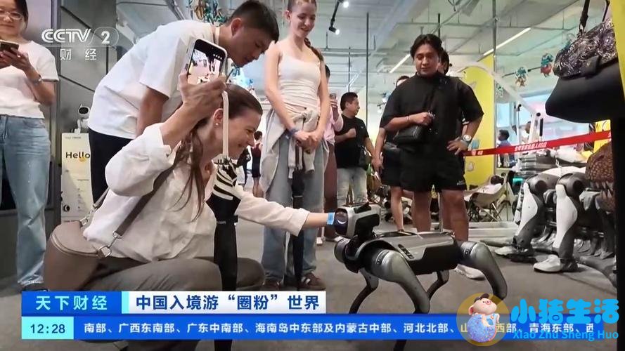 “中国游”带火这门“新生意”