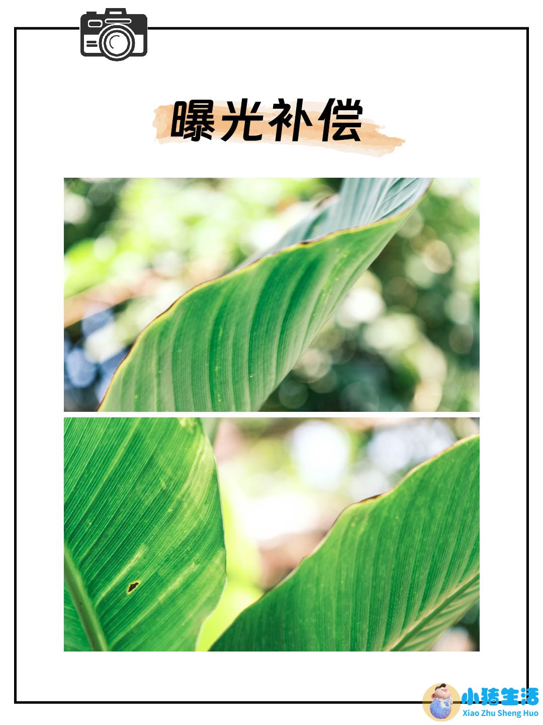 曝光补偿 ev