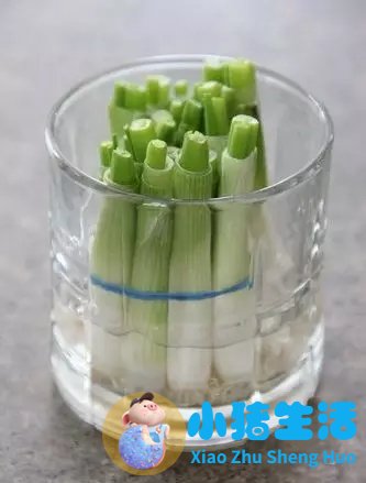 有机健康生活