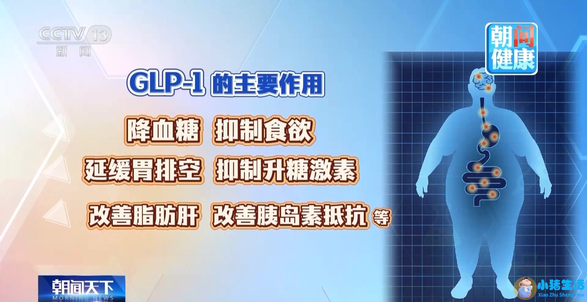 科学减肥的方法