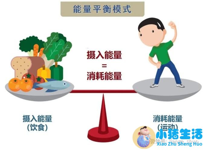 科学减肥的方法