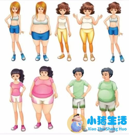 科学减肥的方法