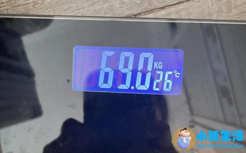 节食运动减肥计划