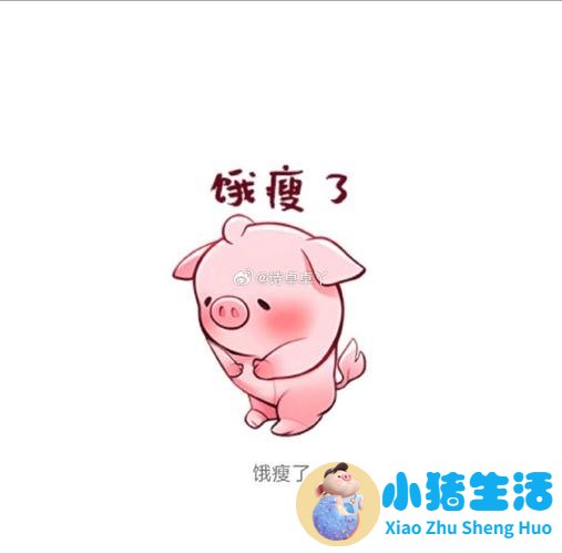 节食运动减肥计划