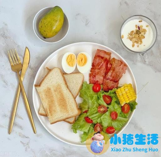 节食运动减肥计划