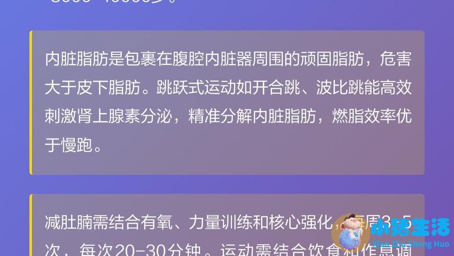 节食运动减肥计划