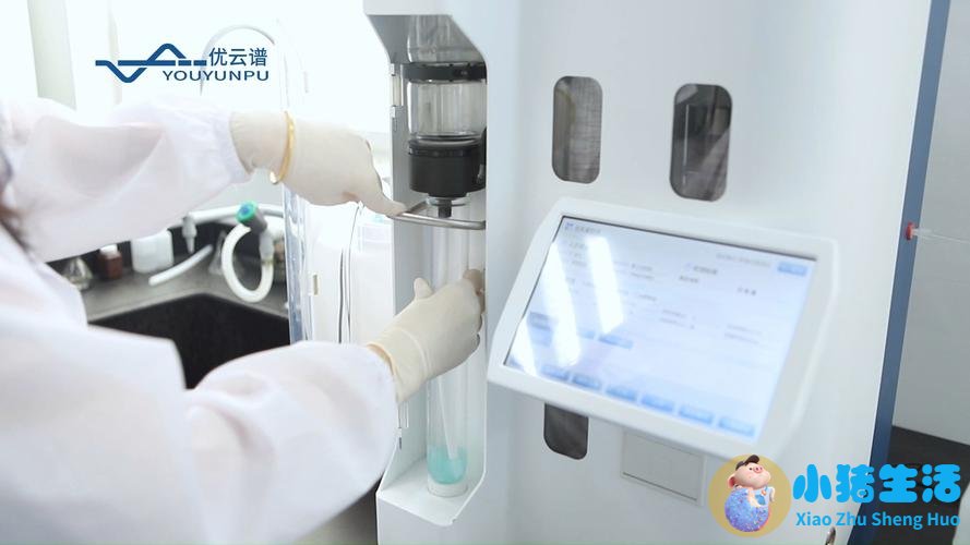 人体水消化过程视频