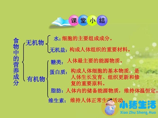 <strong>北师大版七年级下册第四单元  生物圈中</strong>