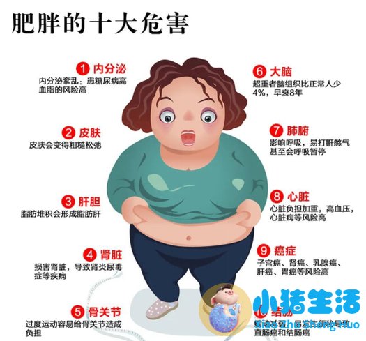 最好的科学减肥
