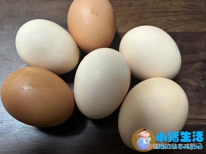 早上空腹运动减肥吗