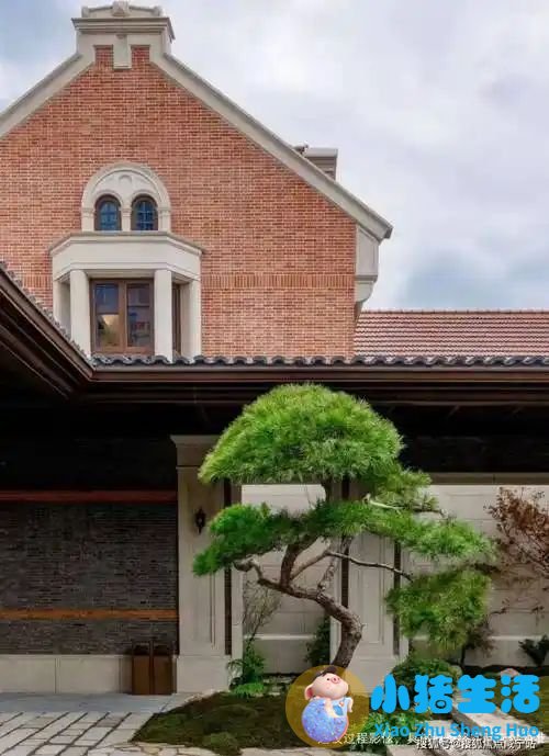 中央水处理系统有用吗