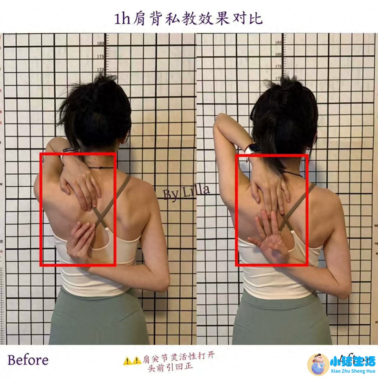 形体瑜伽动作图片大全