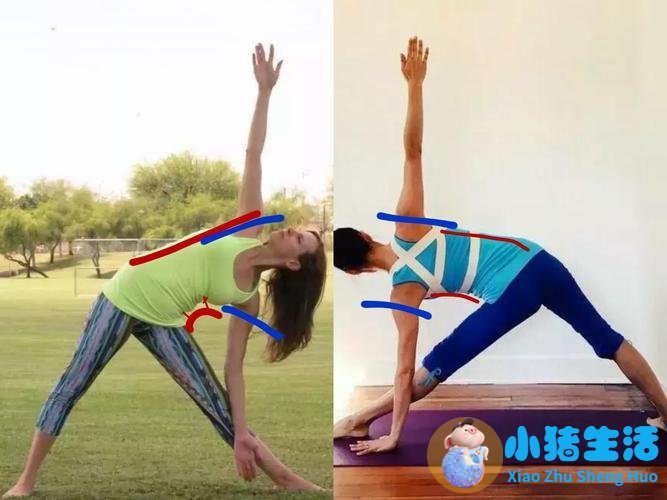 <strong>腰突人群练瑜伽不用全停，守住红线就能</strong>