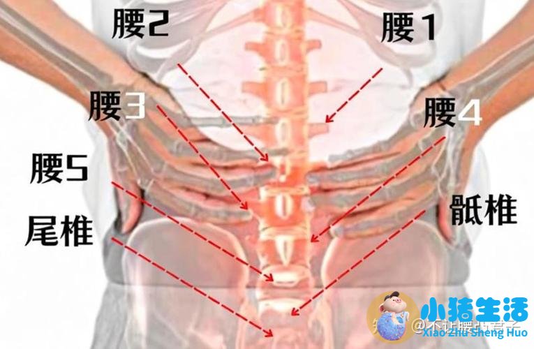 形体瑜伽动作图片大全