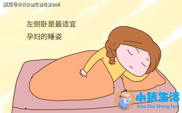 孕晚期左枕后位怎么睡觉