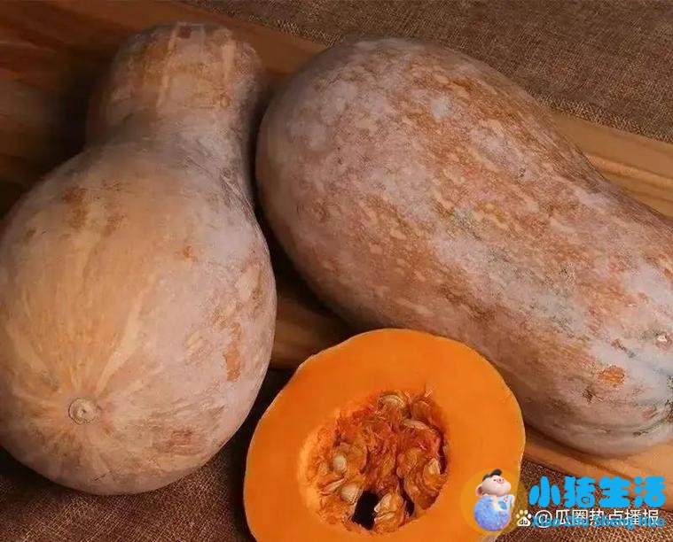 女性养生食物米