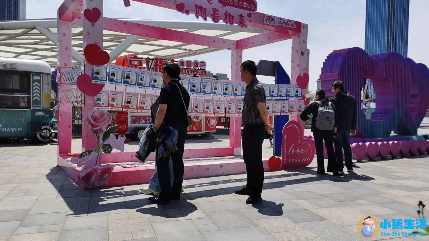 相亲才会赢报名方式