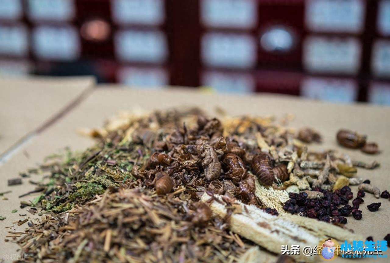 肾不好能吃扑尔敏的功效与作用