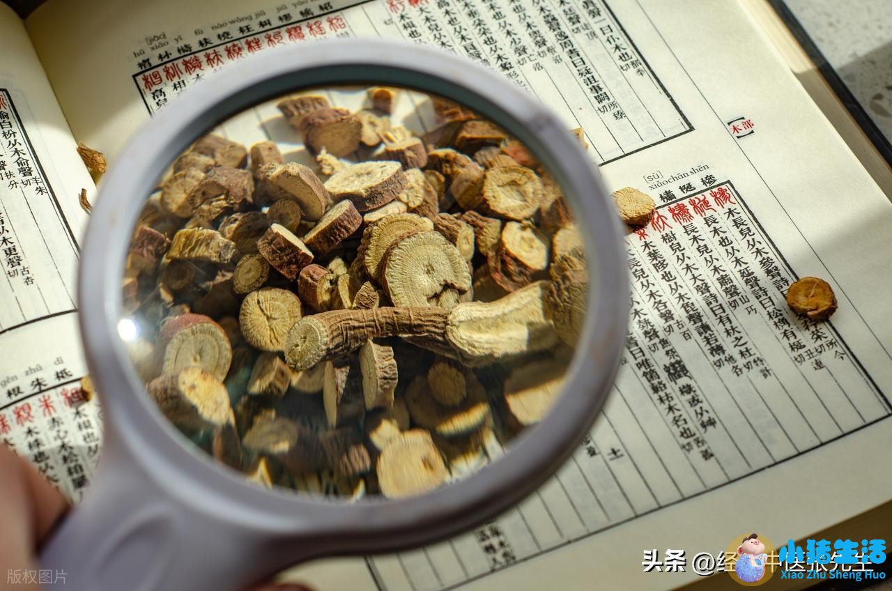 肾不好能吃扑尔敏的功效与作用