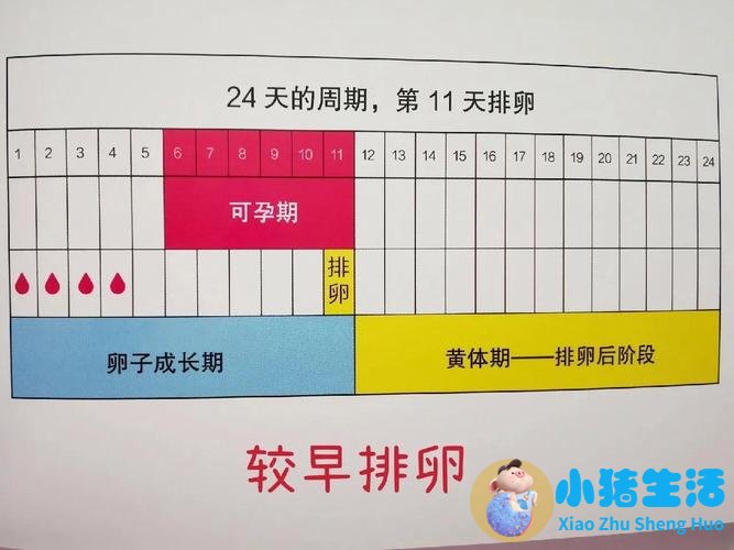 做爱不射在里面能怀孕吗