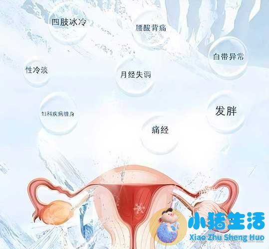 做爱不射在里面能怀孕吗