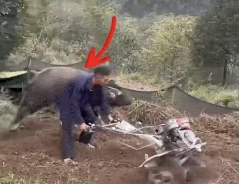做爱不射在里面能怀孕吗