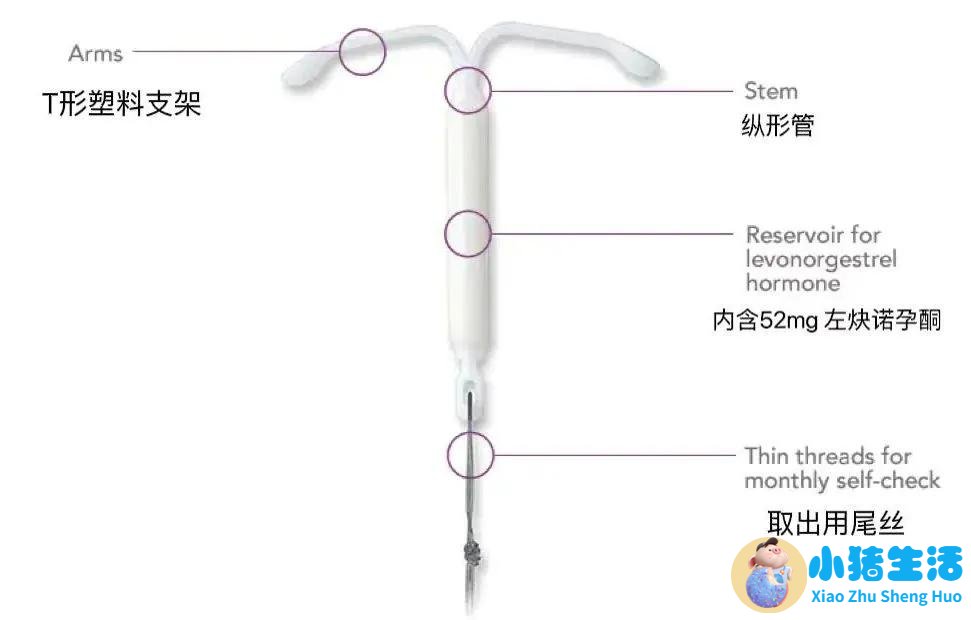 做爱不射在里面能怀孕吗
