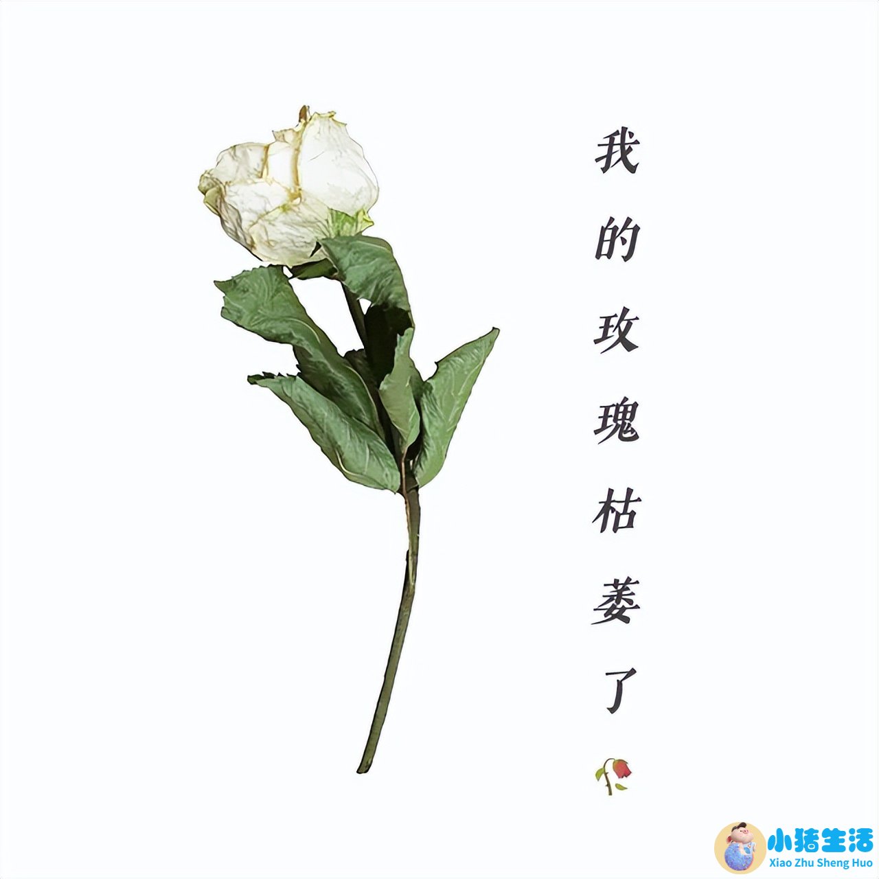 做爱不射在里面能怀孕吗