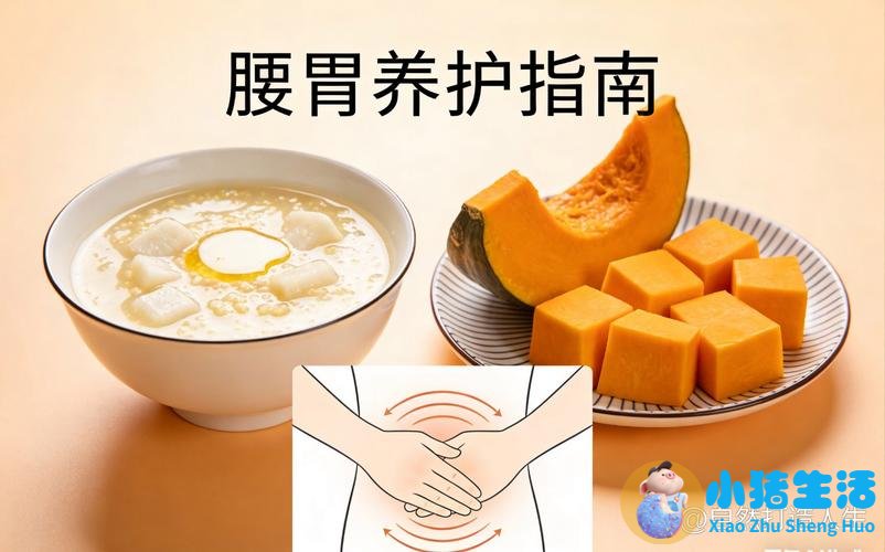 食物养生全书
