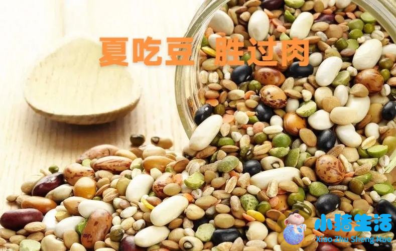 夏季食物养生 天气网气象百科