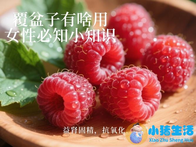 女性保健小常识