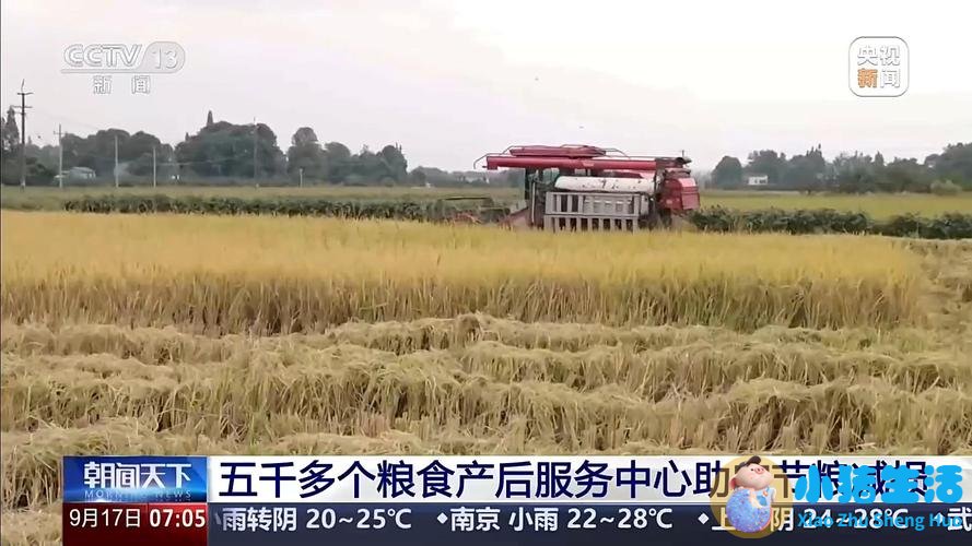 臀位快生时有什么预兆