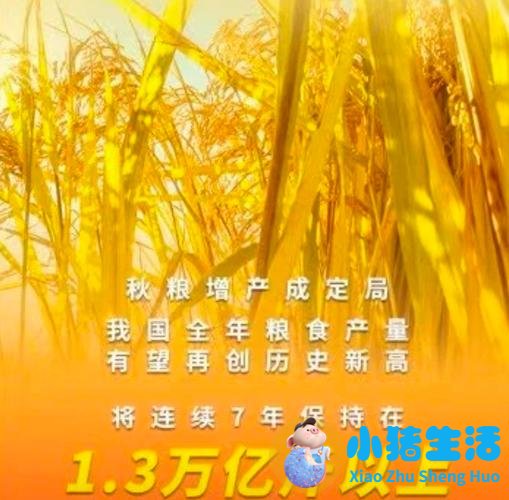 臀位快生时有什么预兆
