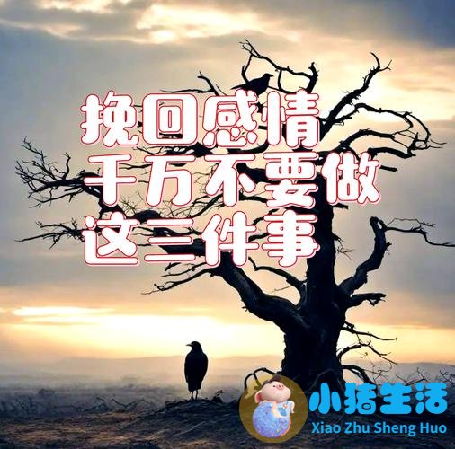 怎样经营好爱情