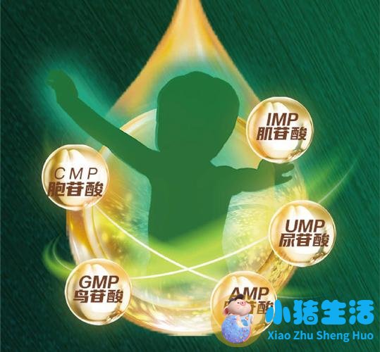 贝因美事件2026 曝光